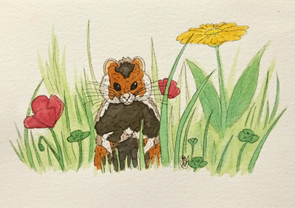 Image pour passer une commande